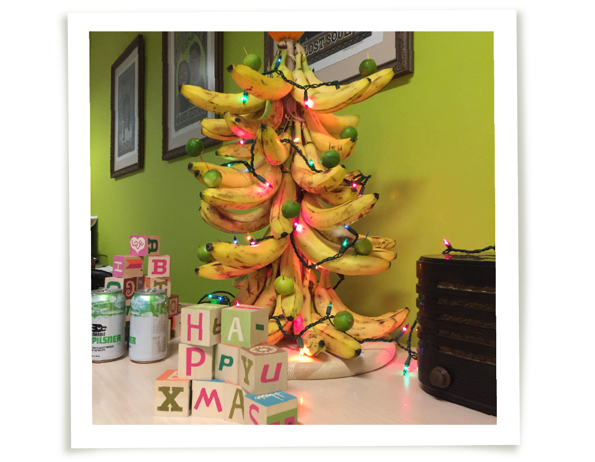 A Ripe Christmas banana tree